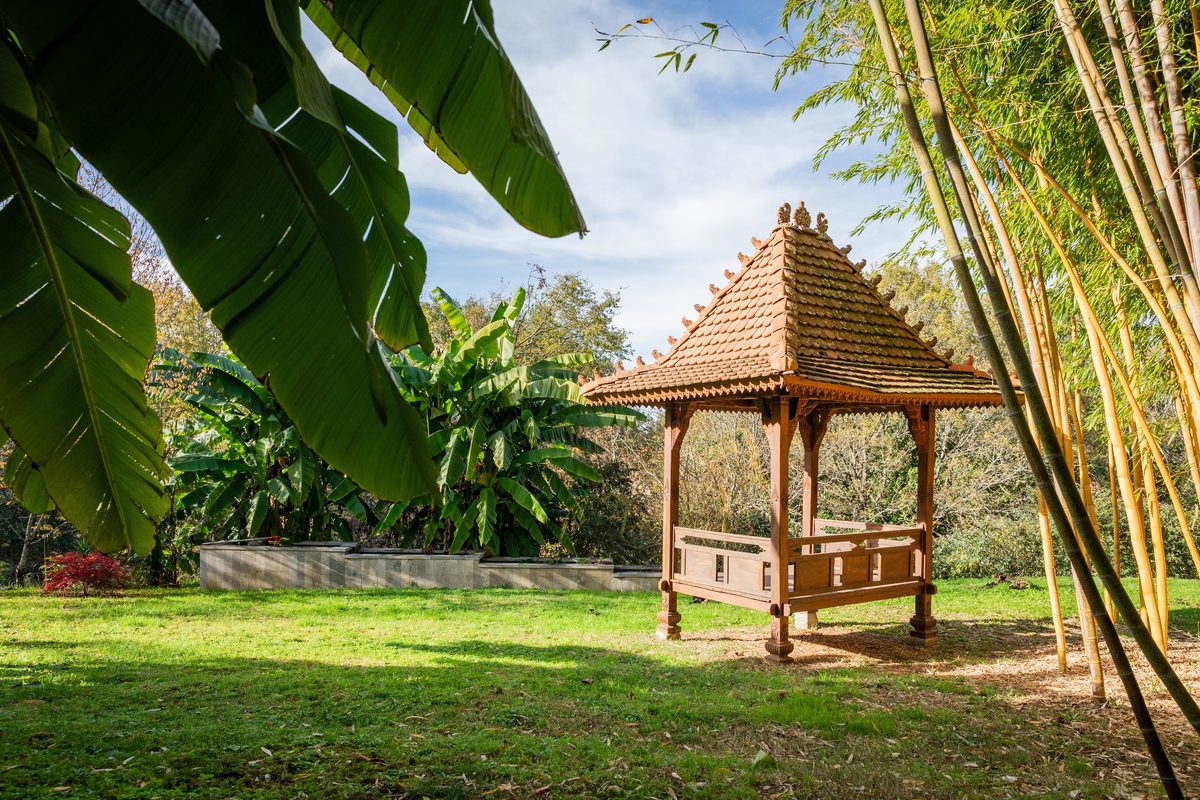 Le kiosque de teck, au fond du parc, entre les bananiers et les bambous