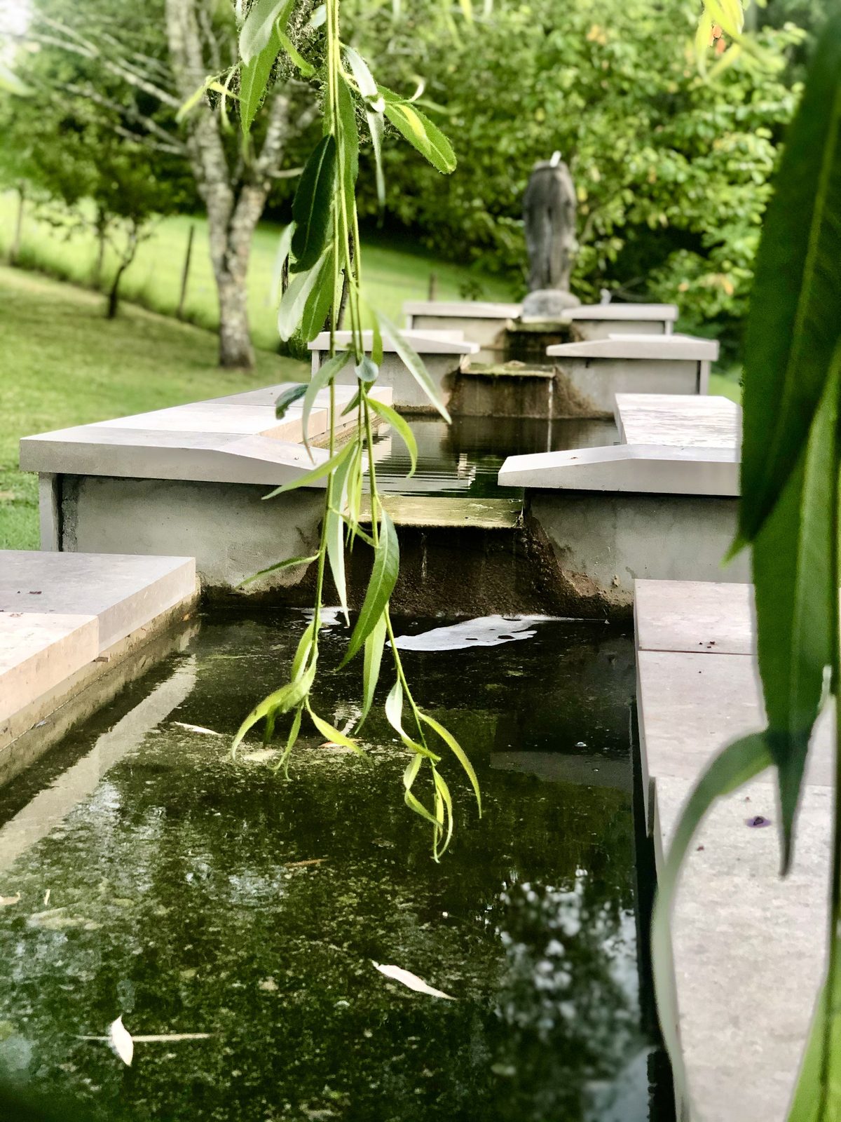 Les bassins de la source en cascade, sous les feuilles du saule
