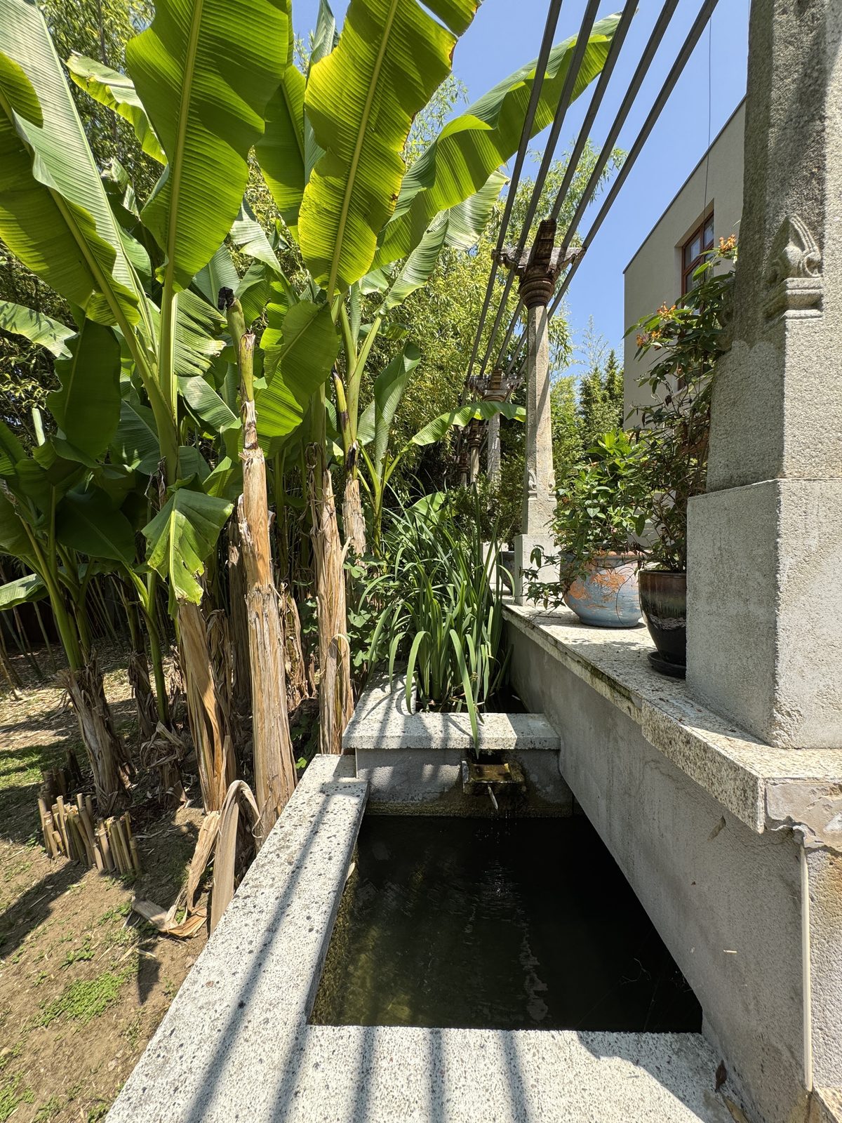 Le canal de pierre qui longe les bananiers, en contrebas de la terrasse