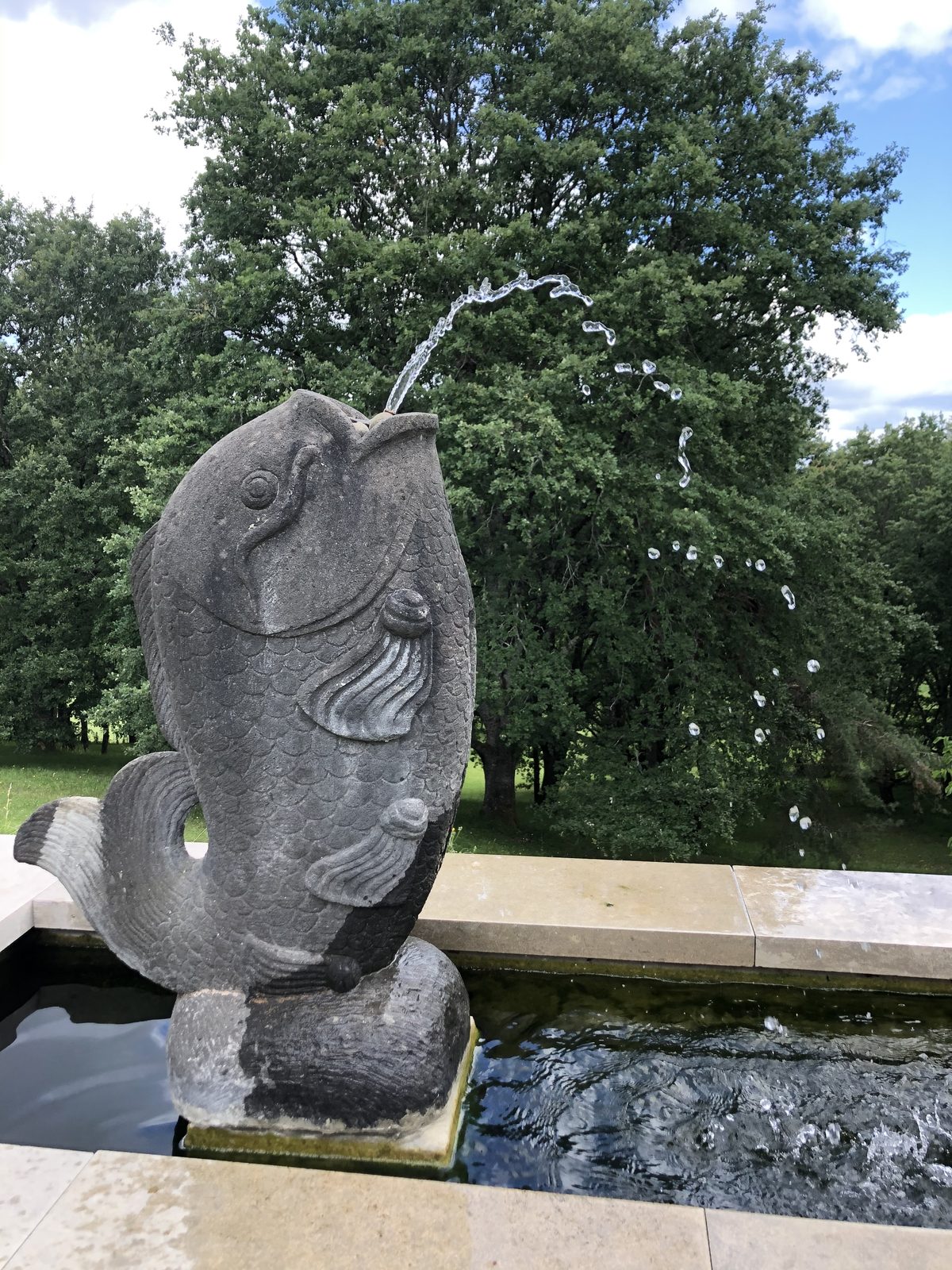 La fontaine au poisson de pierre, et son jet sur le bassin
