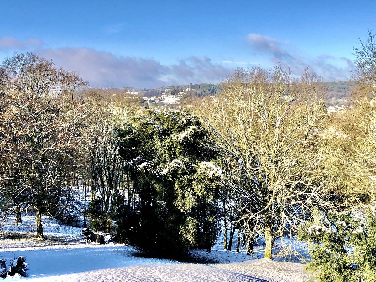 Le parc sous la neige, les arbres blancs et la vallée au loin