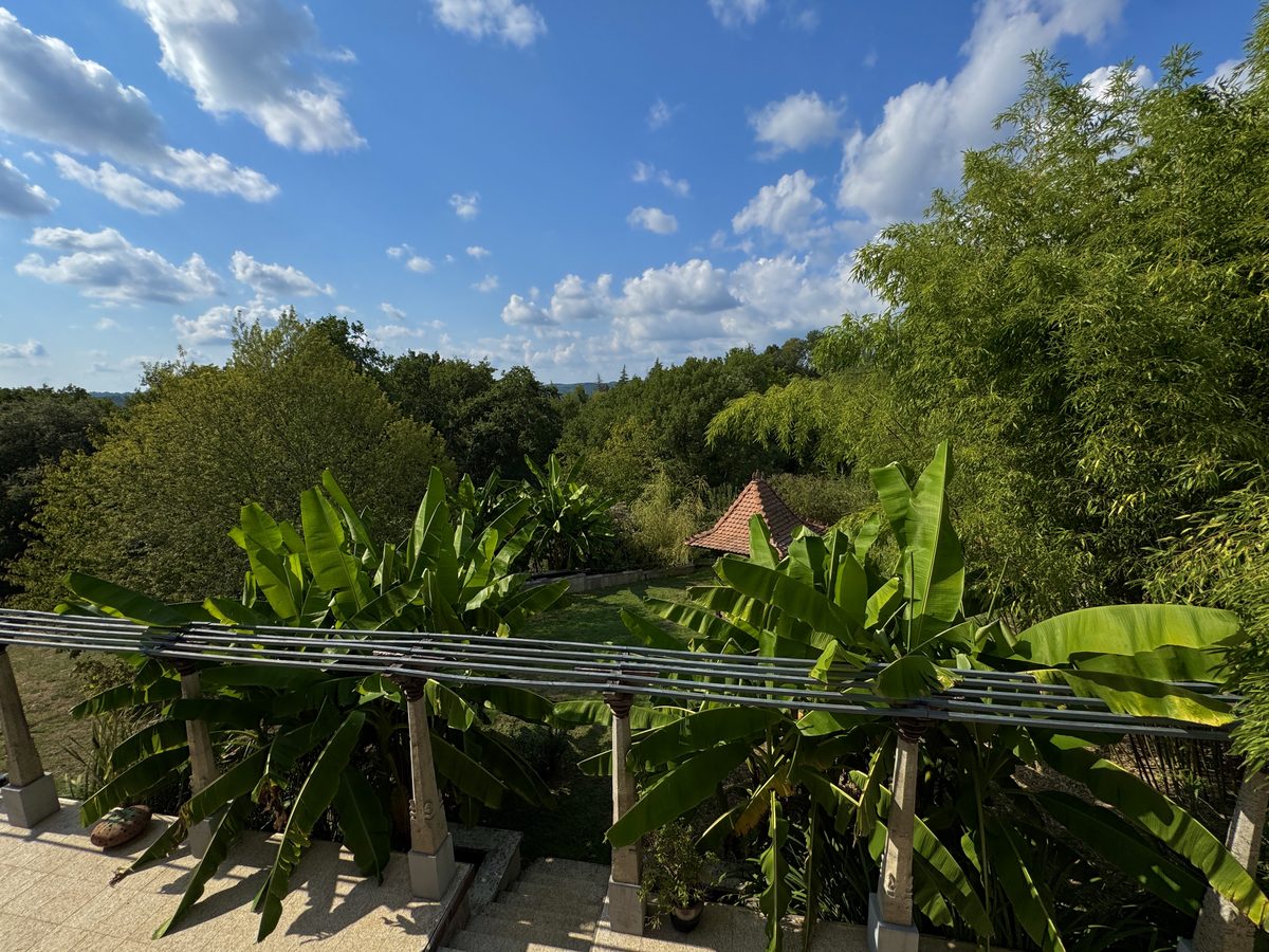 Le parc en plein été depuis la terrasse, ses bananiers, le toit du kiosque et la vallée boisée