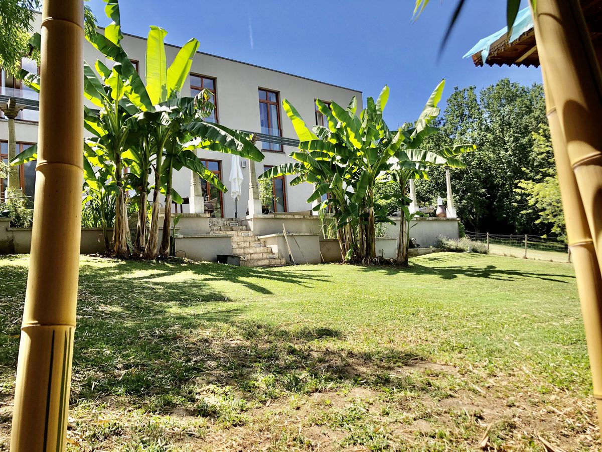 La maison depuis le jardin, entre les bananiers et les bambous