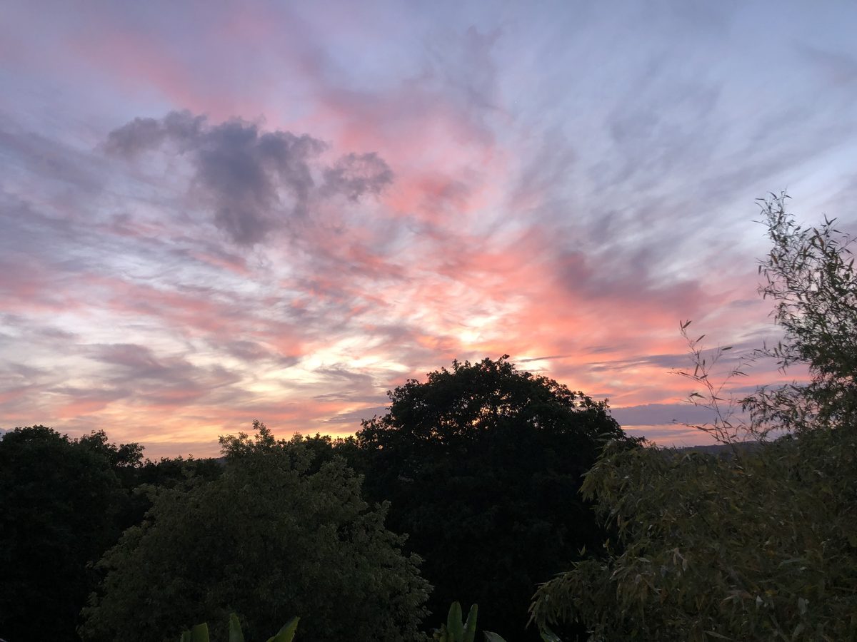 Le ciel rose et mauve à la tombée du jour, au-dessus du parc