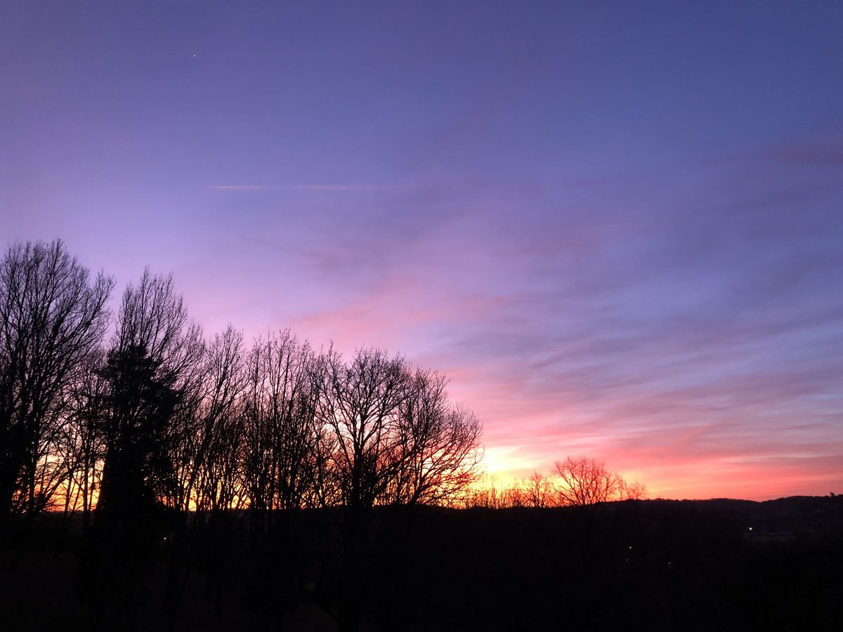 Le ciel violet du crépuscule au-dessus de la ligne des arbres